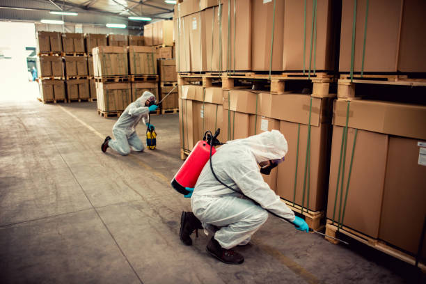 Best Residential Pest Control  in Sherrelwood, CO