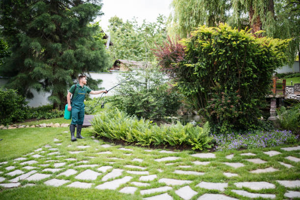 Pest Prevention Services in Sherrelwood, CO