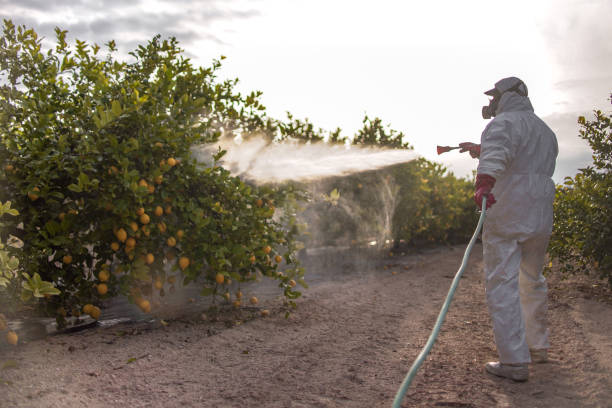 Sherrelwood, CO Pest Control Company