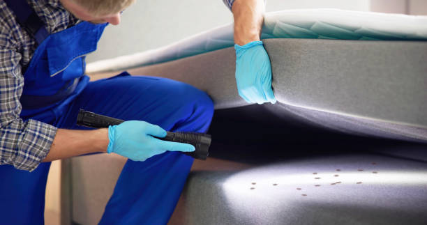 Best Flea Control Services  in Sherrelwood, CO