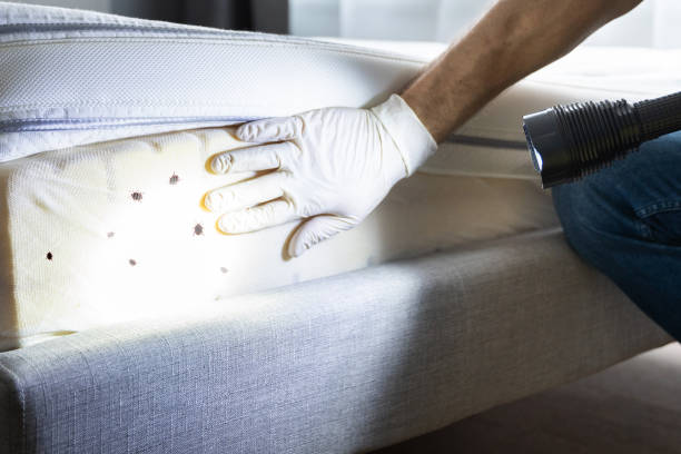 Best Pest Removal Services  in Sherrelwood, CO